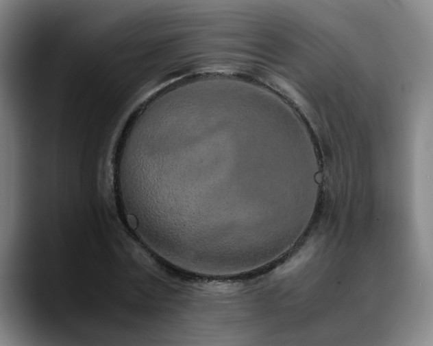 X0000090470779200707131257