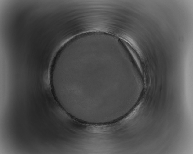 X0000090470780200707131257
