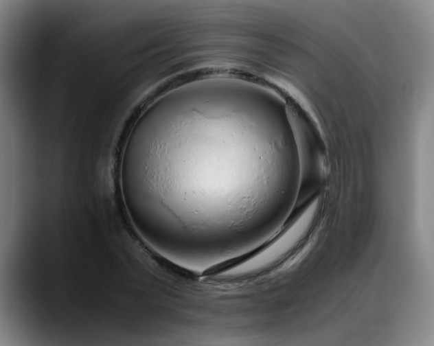 X0000090470783200707131257