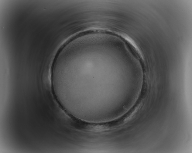 X0000090470791200707131257