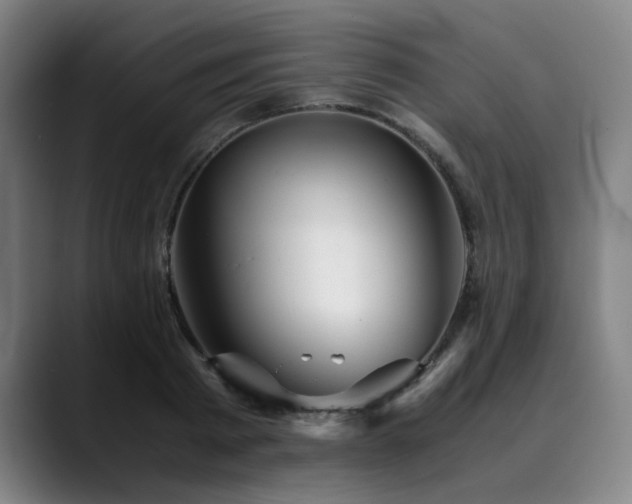 X0000090470793200707131257