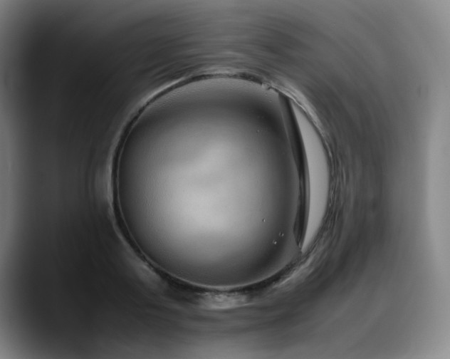 X0000090470795200707131257