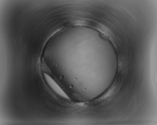 X0000090470798200707131257