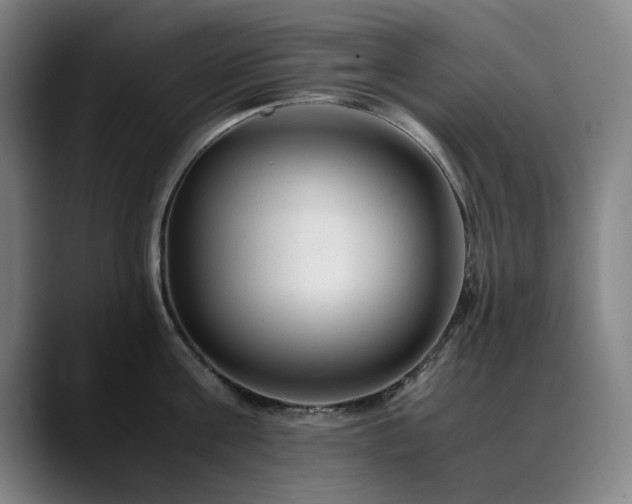 X0000090470811200707131256