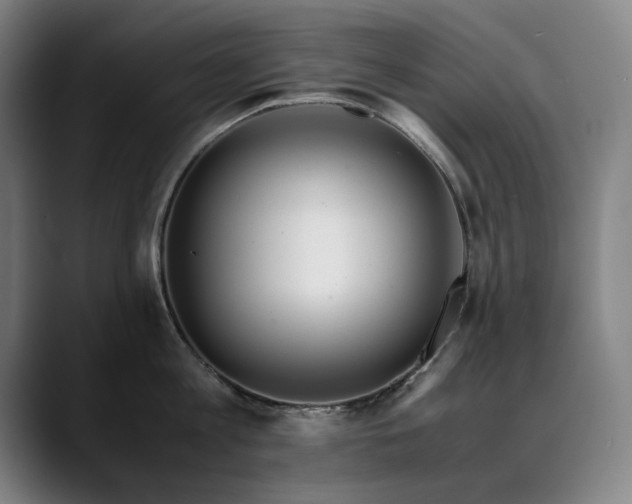 X0000090470813200707131256