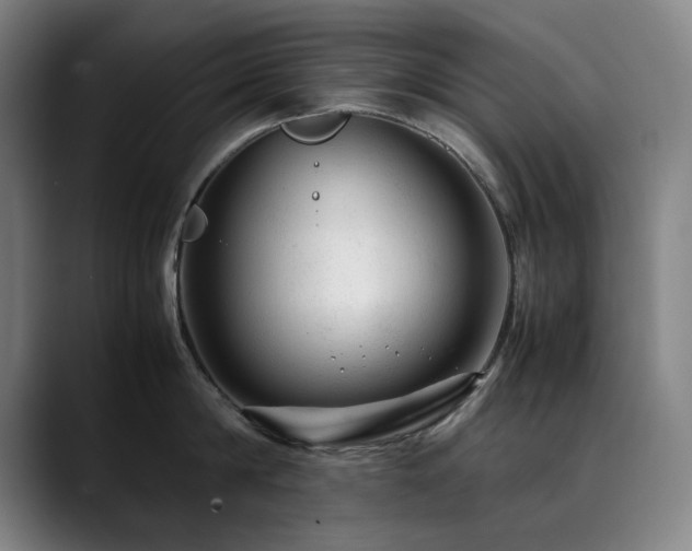X0000090470814200707131256