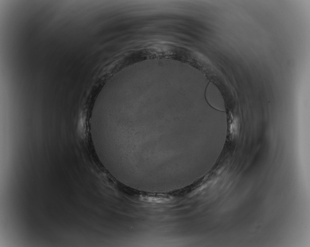 X0000090470819200707131256