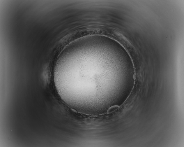 X0000090470821200707131256