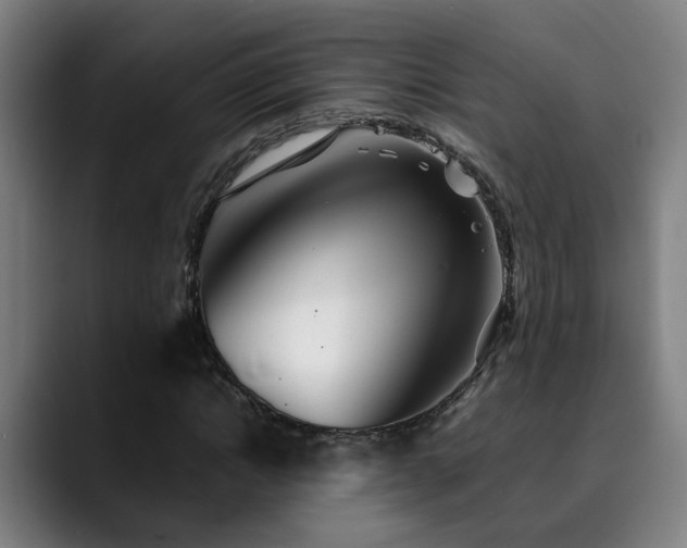 X0000090470822200707131256