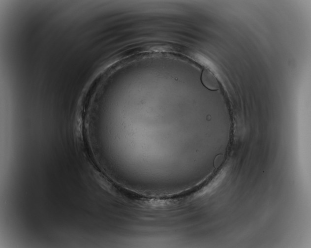 X0000090470827200707131256
