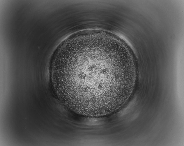 X0000090470829200707131256