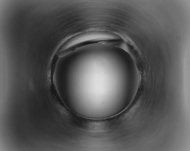 X0000090470830200707131256