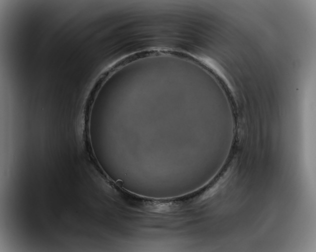 X0000090470831200707131256