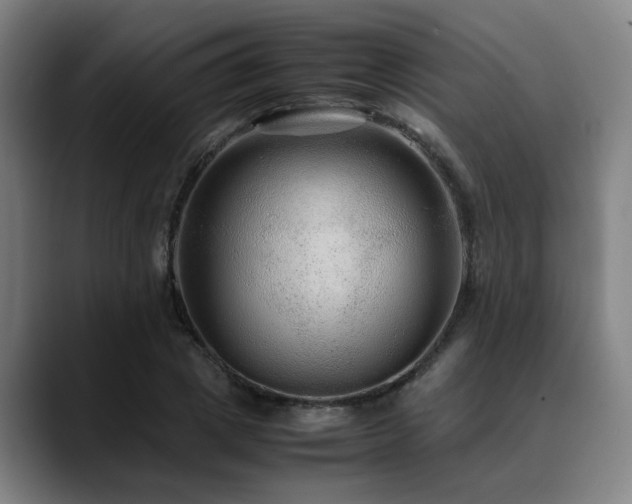 X0000090470833200707131256