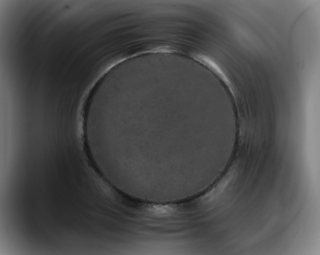 X0000090470835200707131256