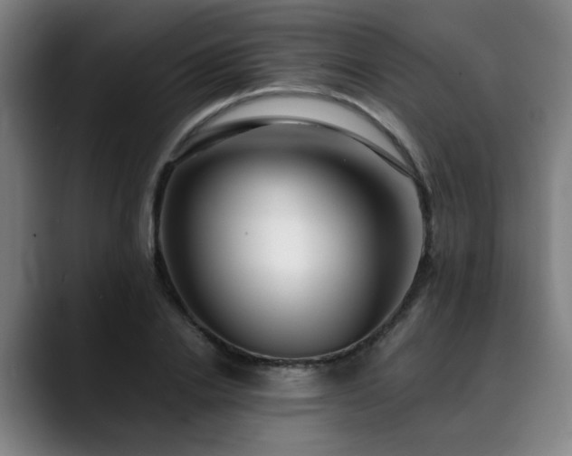 X0000090470838200707131256