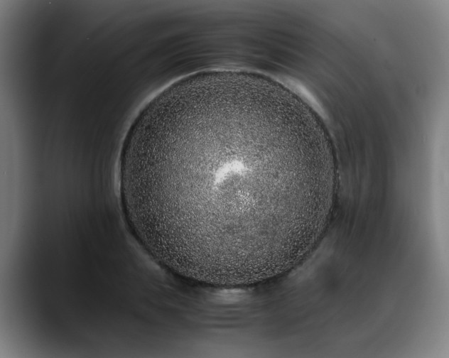 X0000090470839200707131256