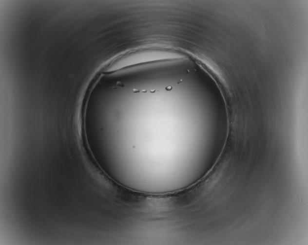 X0000090470840200707131256