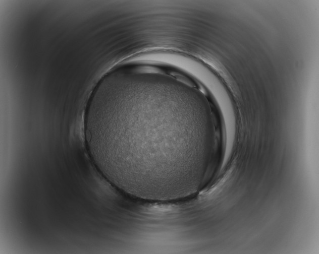 X0000090470842200707131256