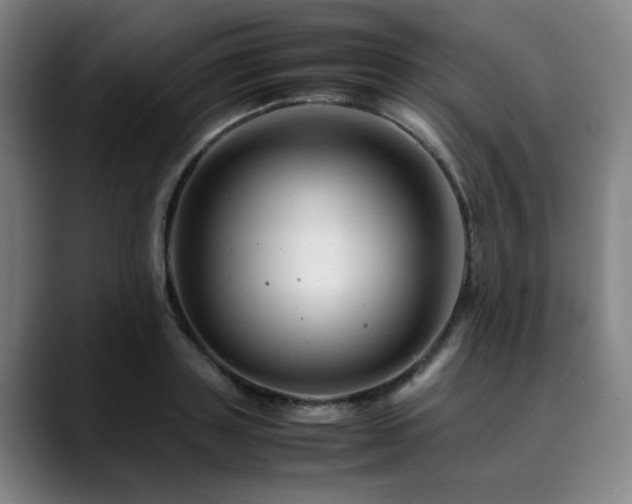 X0000090470843200707131256
