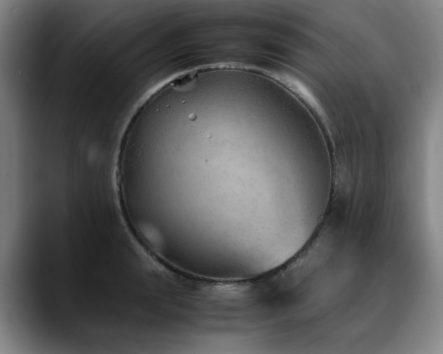 X0000090470847200707131256