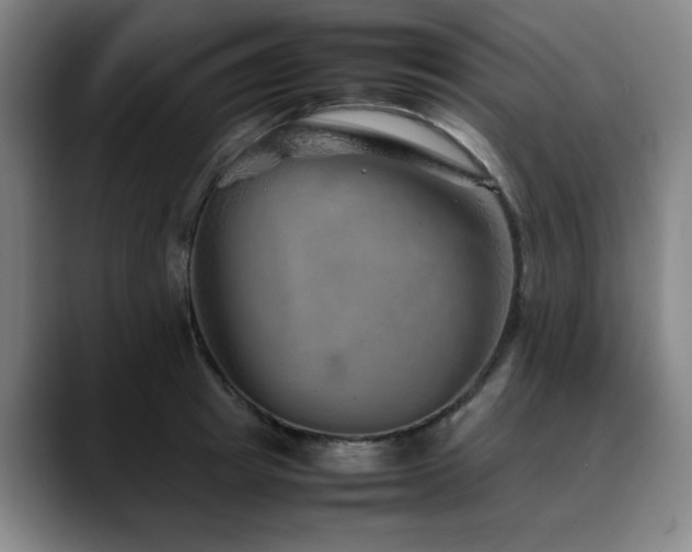 X0000090470849200707131256
