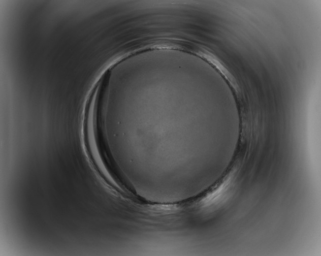 X0000090470853200707131256