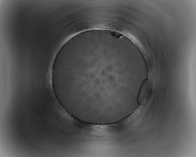 X0000090470854200707131256