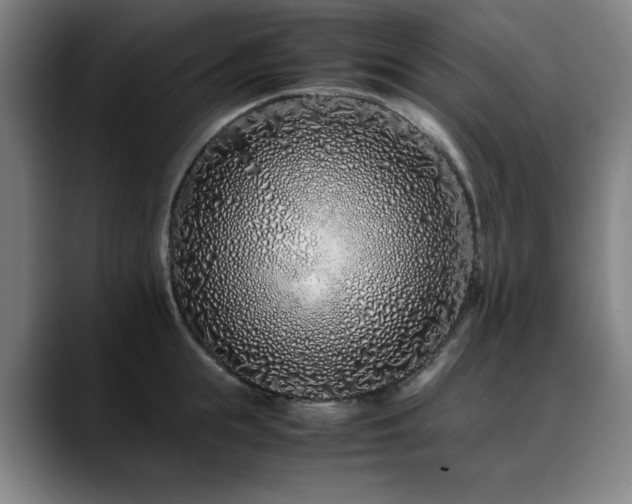 X0000090470855200707131256