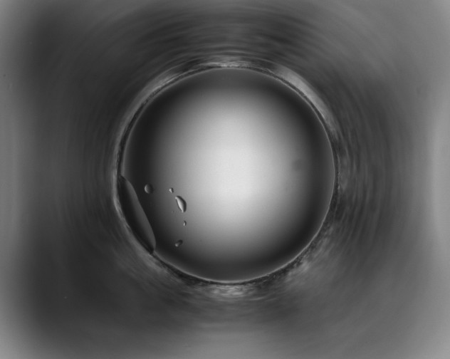 X0000090470861200707131256