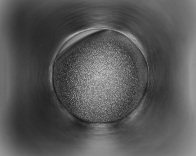 X0000090470862200707131256