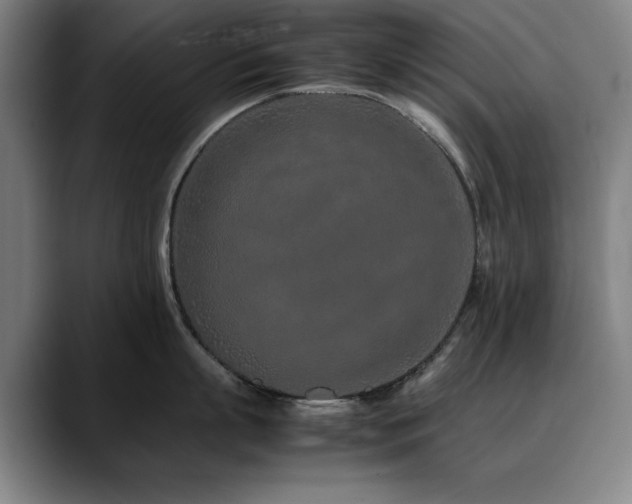 X0000090470863200707131256