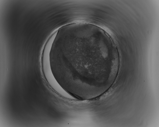 X0000090470864200707131256