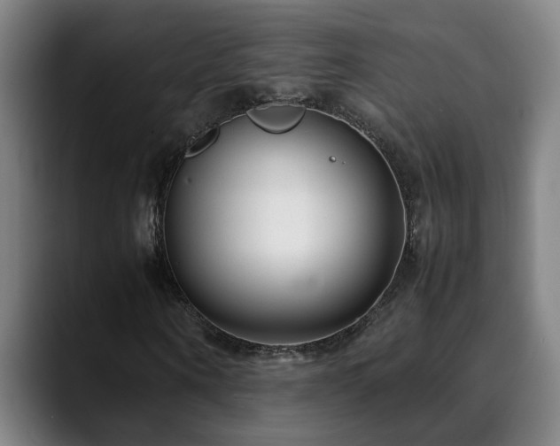X0000090470866200707131256