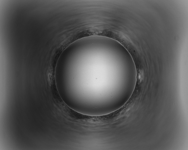 X0000090470867200707131256