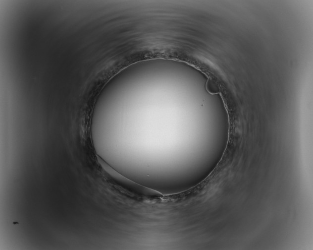 X0000090470869200707131256