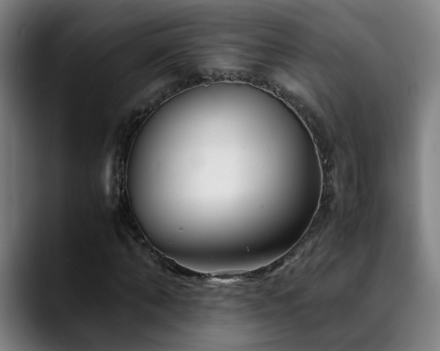 X0000090470870200707131256