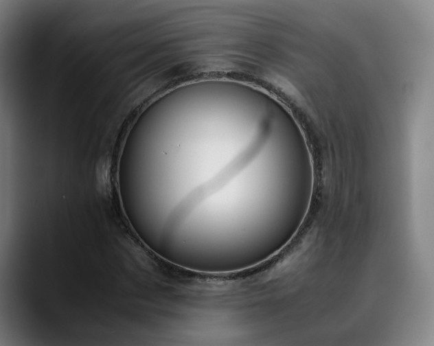 X0000090470873200707131256