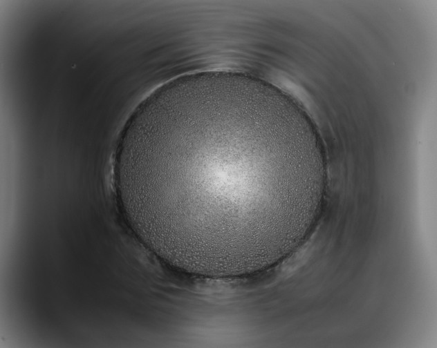 X0000090470875200707131256