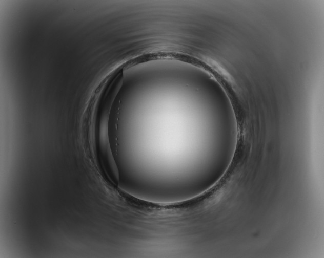 X0000090470877200707131256