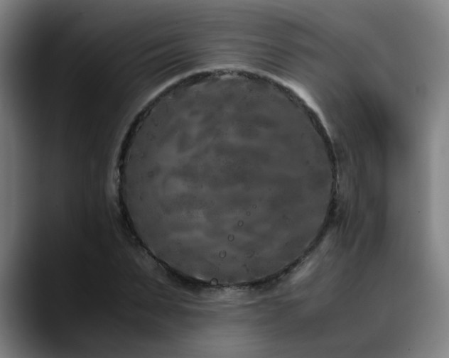 X0000090470879200707131256