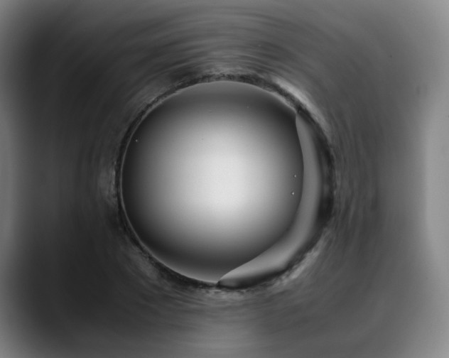 X0000090470881200707131256