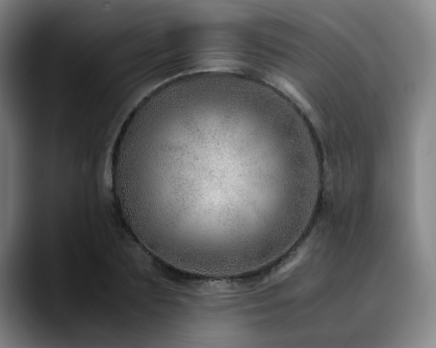 X0000090470883200707131256