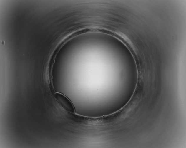 X0000090470887200707131256
