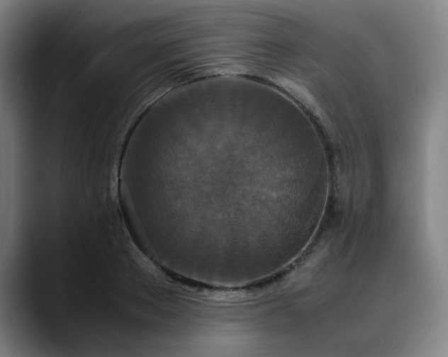 X0000090470889200707131256