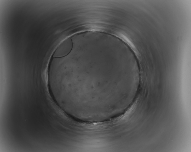 X0000090470891200707131256