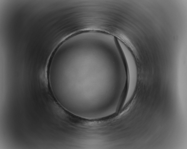 X0000090470892200707131255