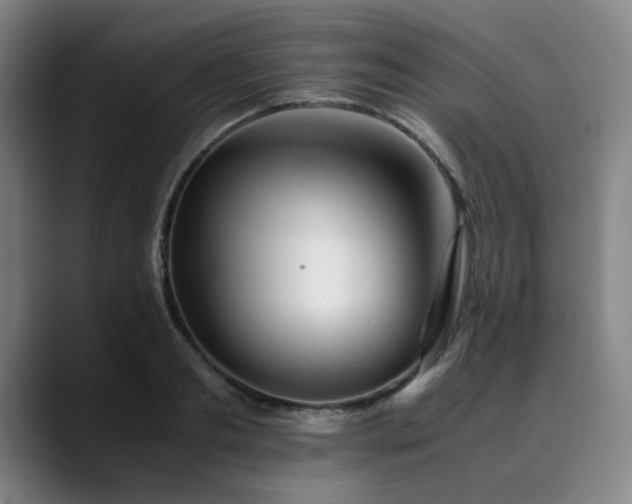 X0000090470893200707131255