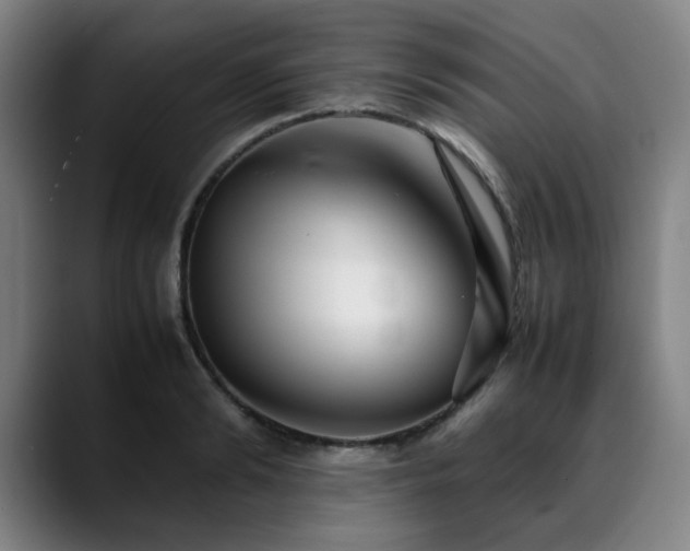 X0000090470894200707131255