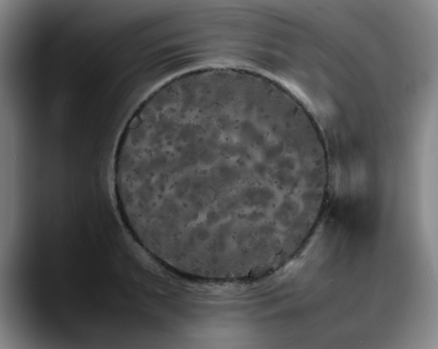 X0000090470895200707131255